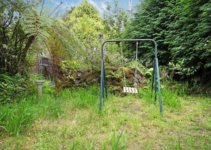 Pico Das Pedras 4 Reset Naturally سانتانا